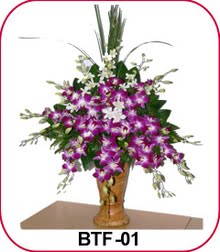 BTF-01 375000 2