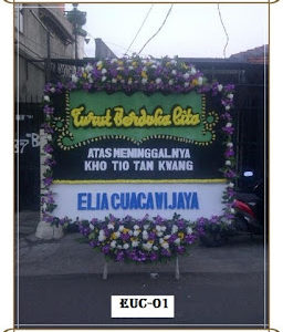 EUC-01 800.000