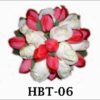 HBT-06 1100000
