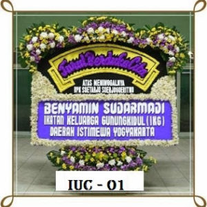 IUC - 01 1350000