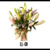 LL-01 550000