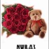 NWB-A3 650000