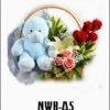 NWB-A5 800000