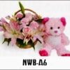 NWB-A6 900000