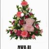 NWB-B1 850000
