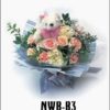 NWB-B3 850000