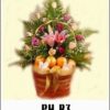 PH-B3 900000