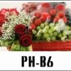 PH-B6 1000000