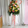 STD-01 500000