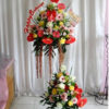 STD-02 750000
