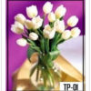 Tp-01 750000