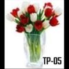 Tp-05 1100000