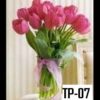 Tp-07 850000