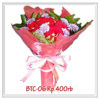 btc-06-400000