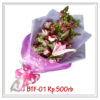 btf-01-500000