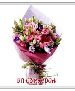 bti-03-700000