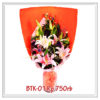 btk-01-750000