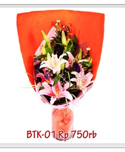 btk-01-750000
