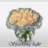 sparkling light 650000