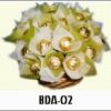 BDA-02 750000