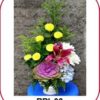 BDI-06 500000