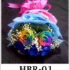HBR-01 900000