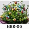 HBR-06 2000000